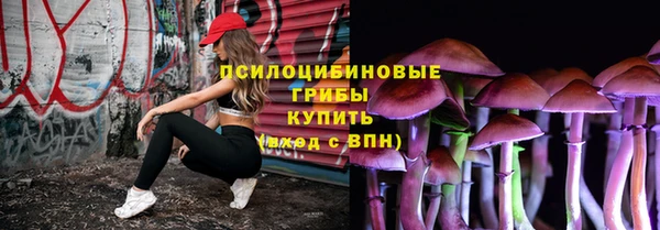 молекула духа Алексин